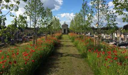 Guide_Cimetiere_caue_042025-1